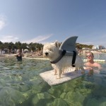 DCIM133GOPRO