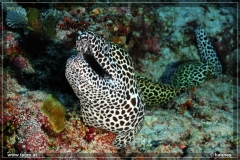 comp_122