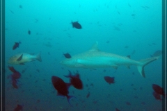 DCIM\100GOPRO\G0033332.