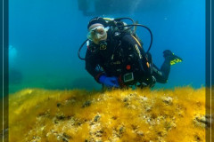 DCIM\100GOPRO\GOPR6129.JPG