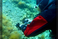 DCIM\100GOPRO\GOPR6082.JPG