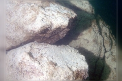 DIGITAL CAMERA