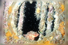 DIGITAL CAMERA