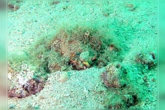 DIGITAL CAMERA